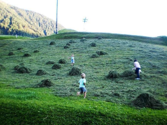 Bio-Berghof Villa Niederthai Luaran gambar